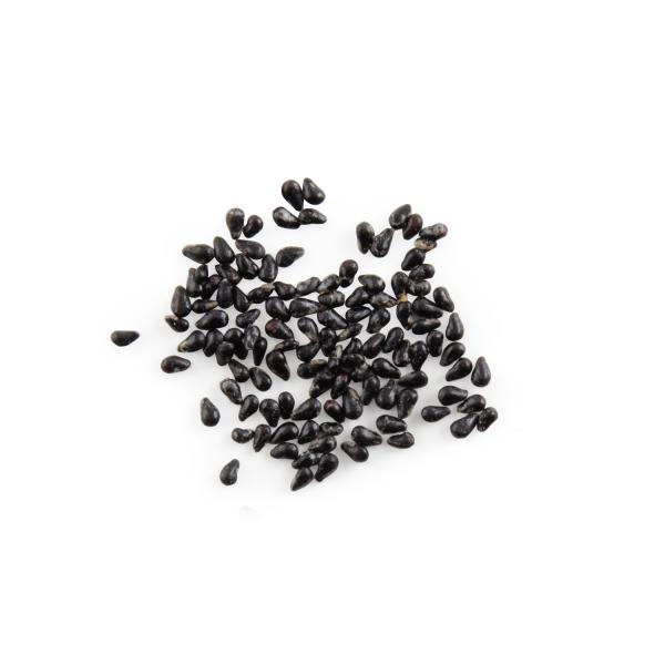 Radis et Capucine - Fruit du Dragon à semer - MEDIA_EN_SITUATION_2